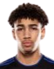 https://img.yb1hs.com/img/football/player/fb7fd3390bdc25307ce54843fe6472dd.png